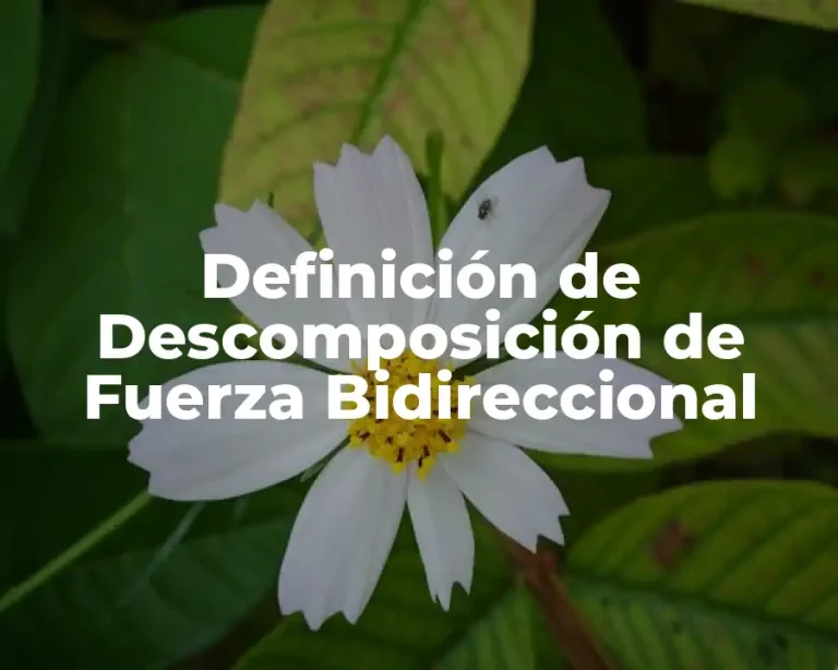 Definición de Descomposición de Fuerza Bidireccional