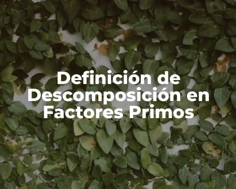 Definición de Descomposición en Factores Primos