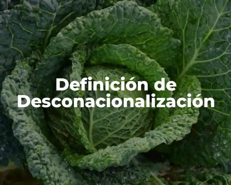 Definición de Desconacionalización
