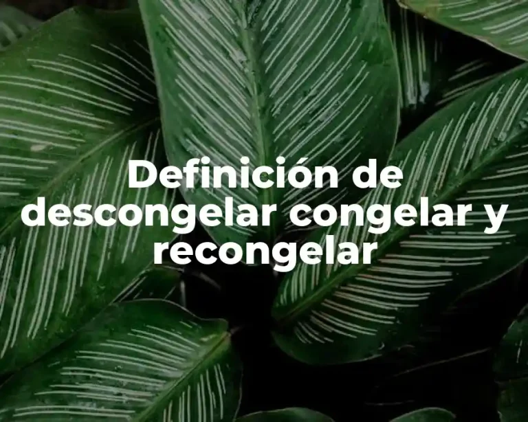 Definición de descongelar congelar y recongelar