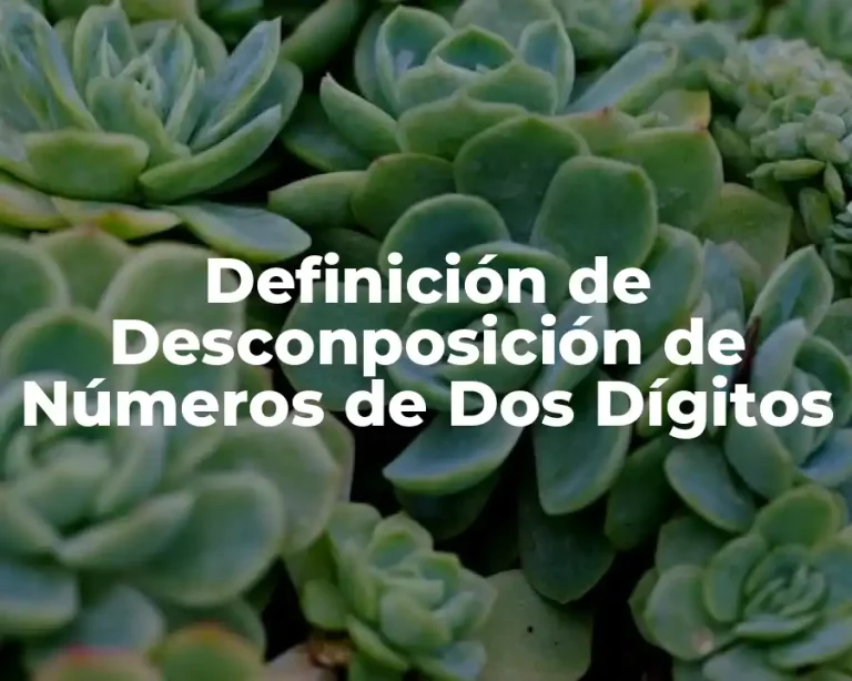 Definición de Desconposición de Números de Dos Dígitos