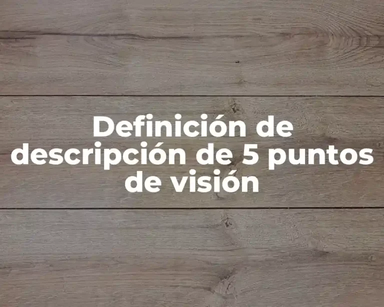 Definición de descripción de 5 puntos de visión