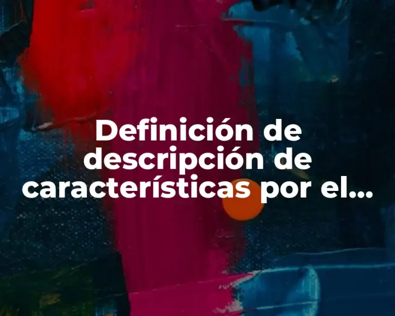 Definición de descripción de características por el método mixto