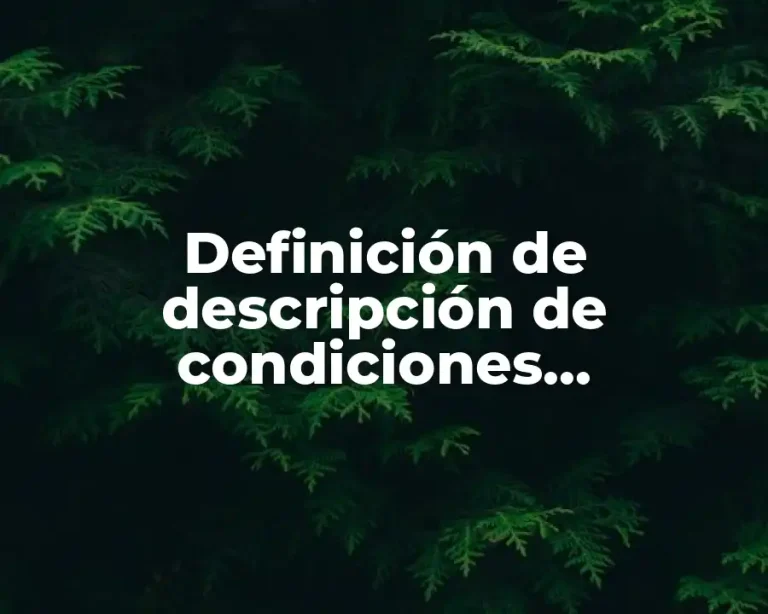 Definición de descripción de condiciones económicas y sociales
