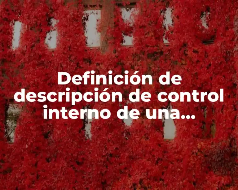 Definición de descripción de control interno de una organización