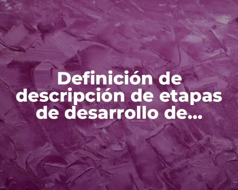 Definición de descripción de etapas de desarrollo de software