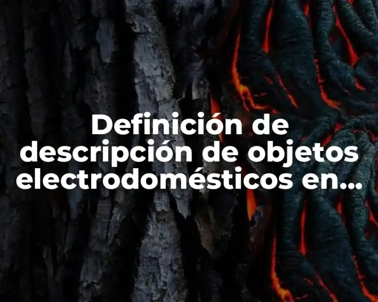 Definición de descripción de objetos electrodomésticos en inglés