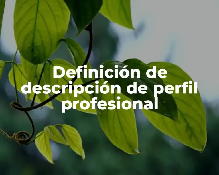 Definición de descripción de perfil profesional