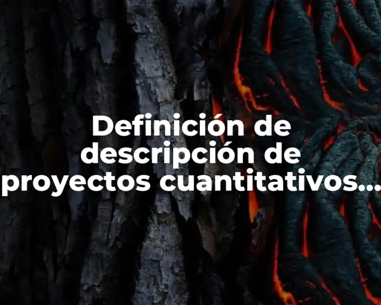 Definición de descripción de proyectos cuantitativos y cualitativos