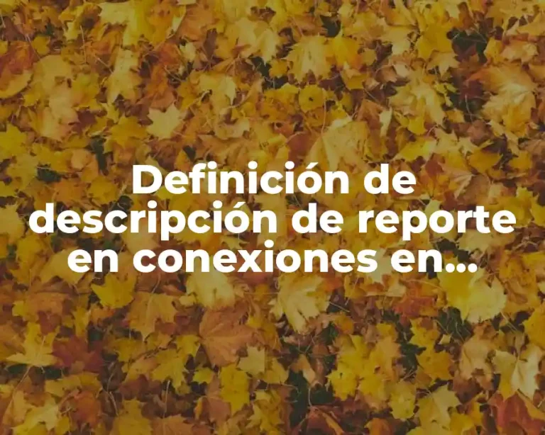 Definición de descripción de reporte en conexiones en breadboard