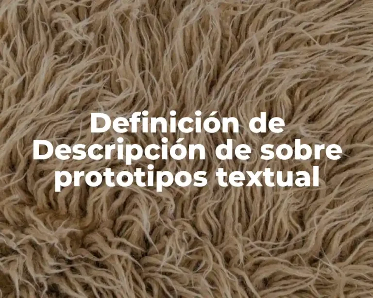 Definición de Descripción de sobre prototipos textual