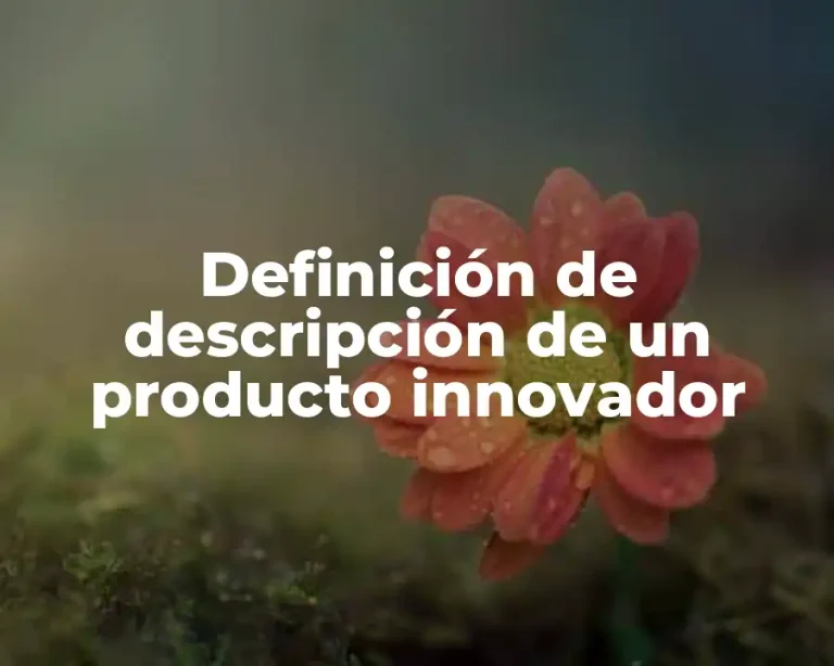 Definición de descripción de un producto innovador