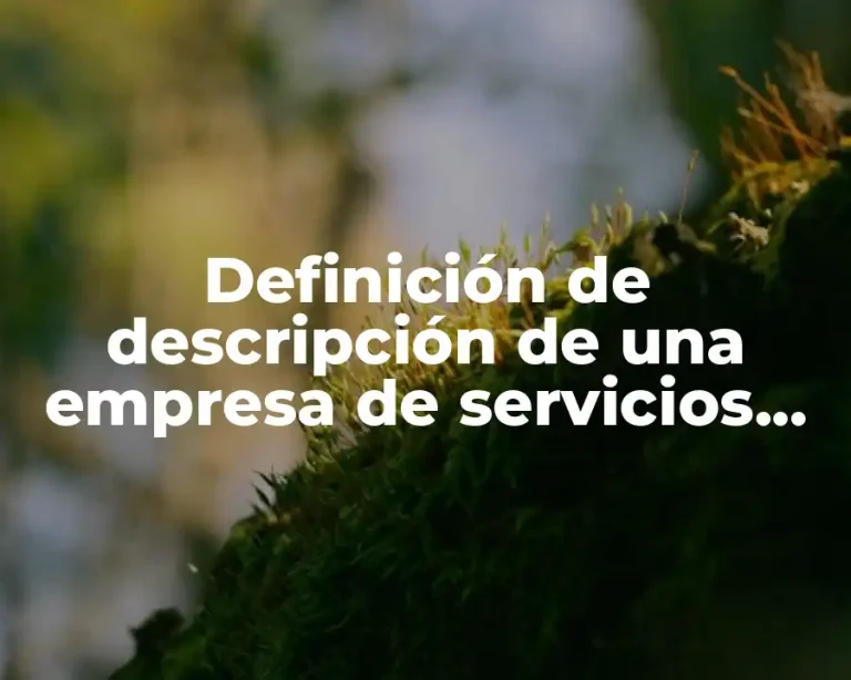 Definición de descripción de una empresa de servicios automotrices