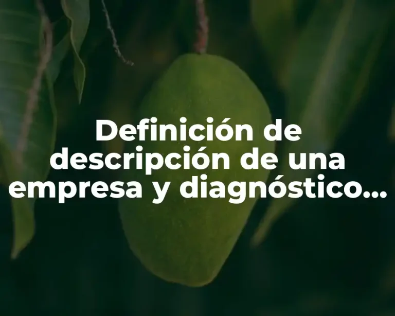 Definición de descripción de una empresa y diagnóstico de riesgo