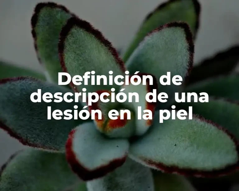 Definición de descripción de una lesión en la piel