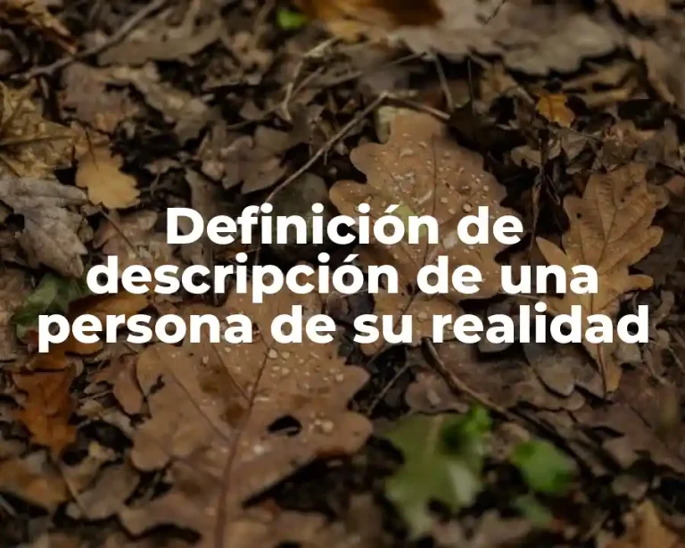Definición de descripción de una persona de su realidad