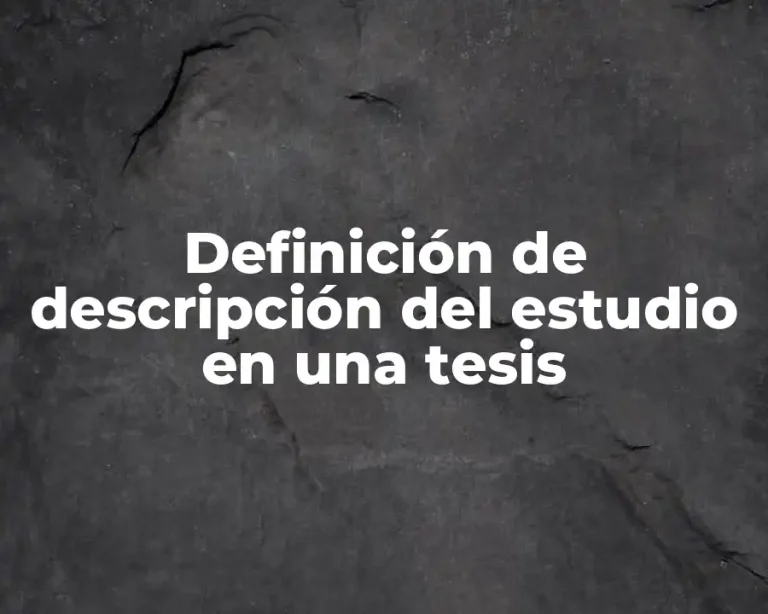 Definición de descripción del estudio en una tesis