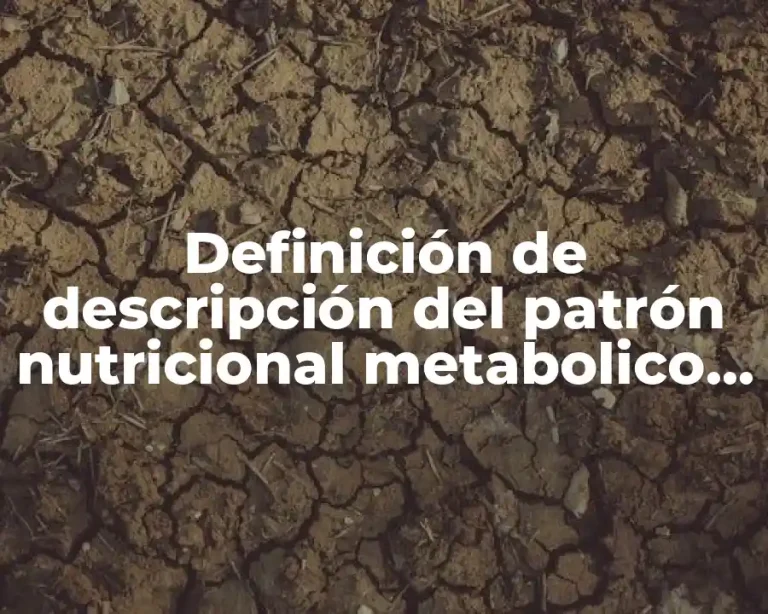 Definición de descripción del patrón nutricional metabolico en pediatria