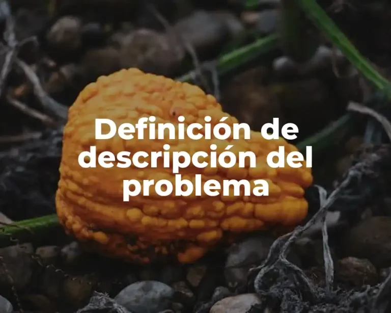 Definición de descripción del problema