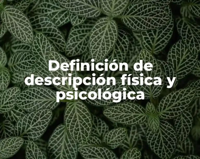 Definición de descripción física y psicológica