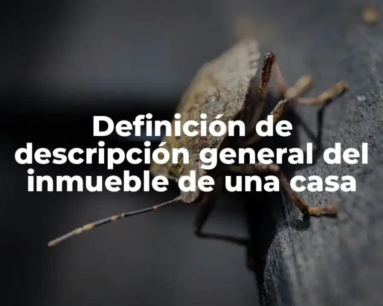 Definición de descripción general del inmueble de una casa