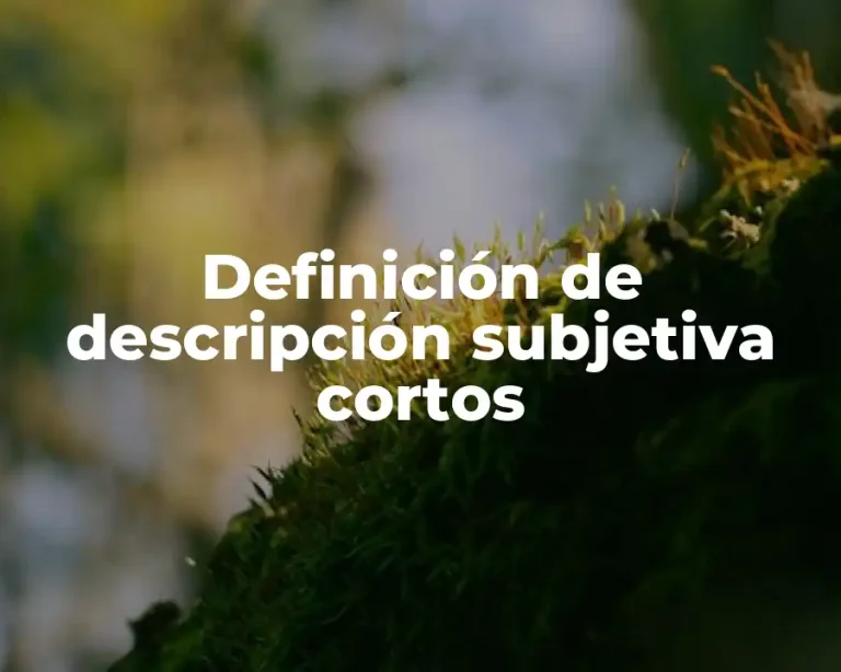 Definición de descripción subjetiva cortos