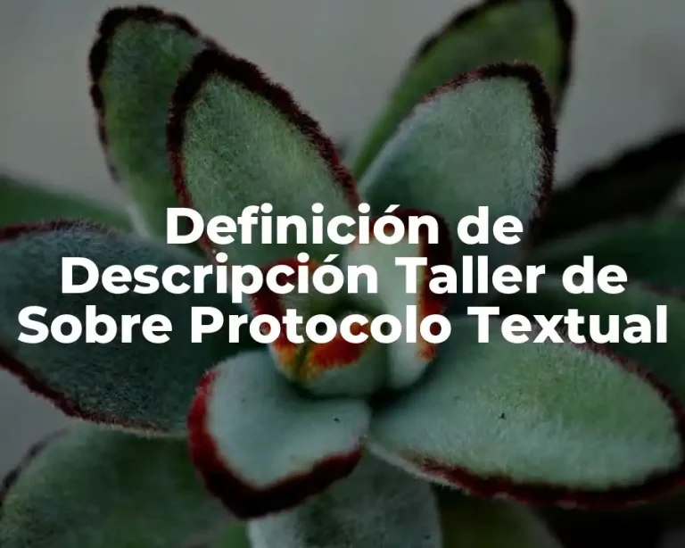Definición de Descripción Taller de Sobre Protocolo Textual