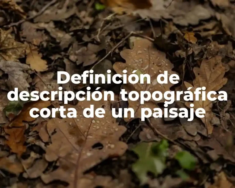Definición de descripción topográfica corta de un paisaje