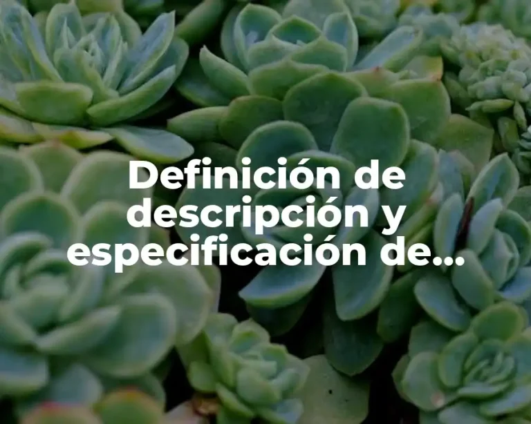 Definición de descripción y especificación de puestos