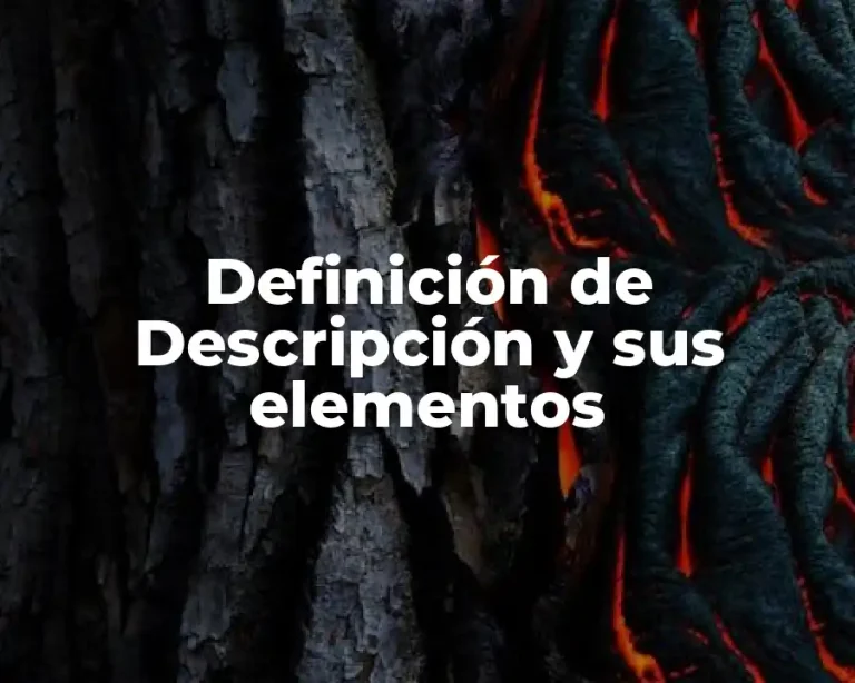 Definición de Descripción y sus elementos