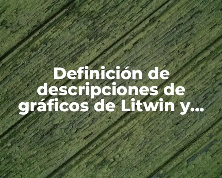 Definición de descripciones de gráficos de Litwin y Stinger