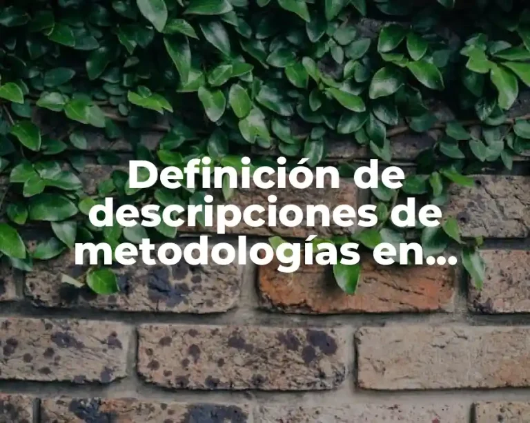 Definición de descripciones de metodologías en tercera persona