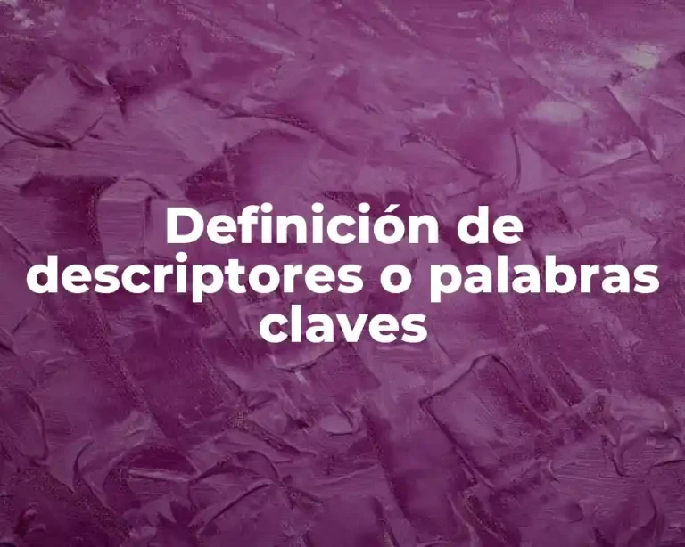 Definición de descriptores o palabras claves