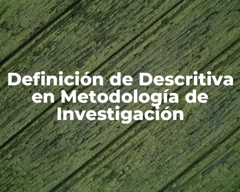 Definición de Descritiva en Metodología de Investigación
