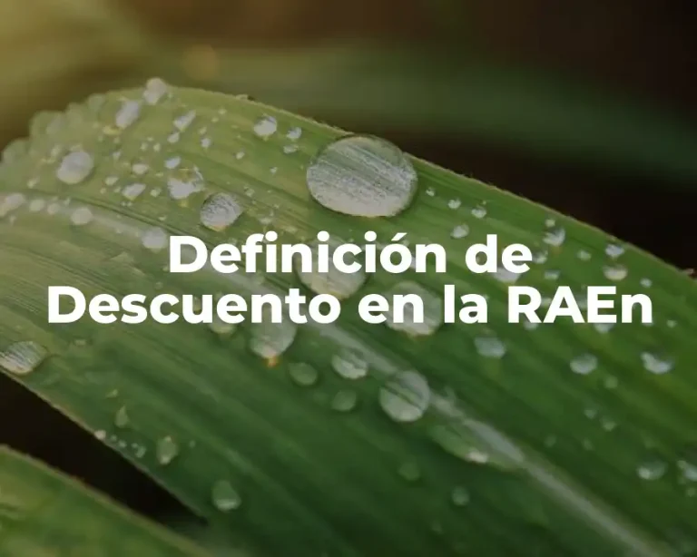 Definición de Descuento en la RAEn