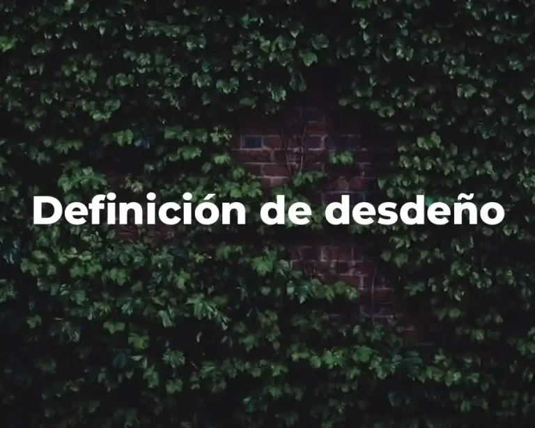 Definición de desdeño