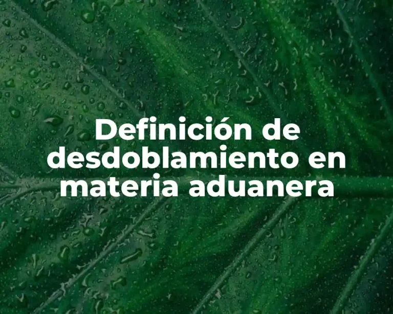 Definición de desdoblamiento en materia aduanera