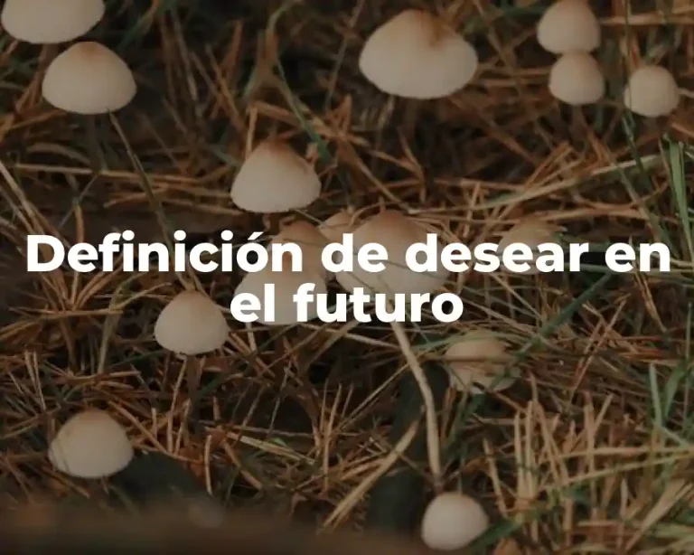 Definición de desear en el futuro