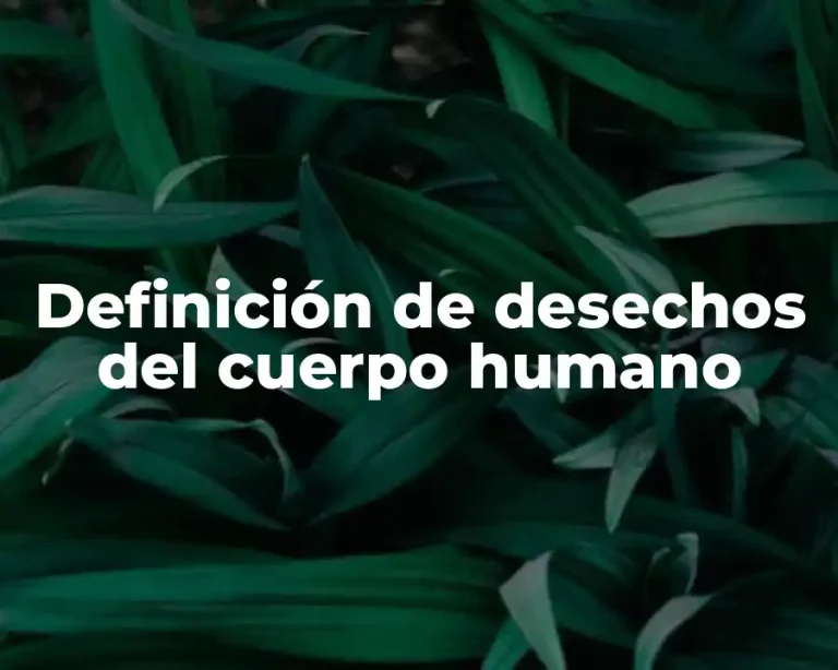 Definición de desechos del cuerpo humano