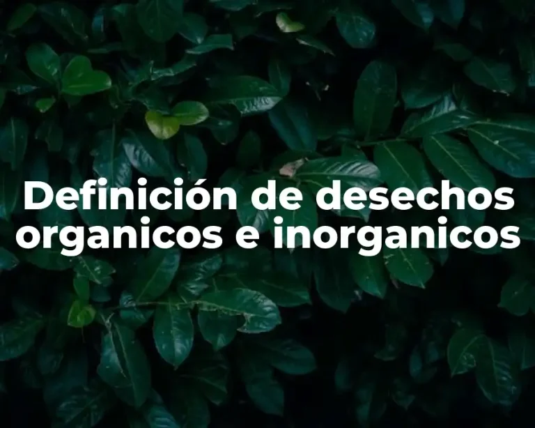 Definición de desechos organicos e inorganicos