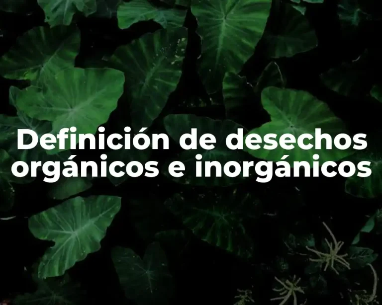 Definición de desechos orgánicos e inorgánicos