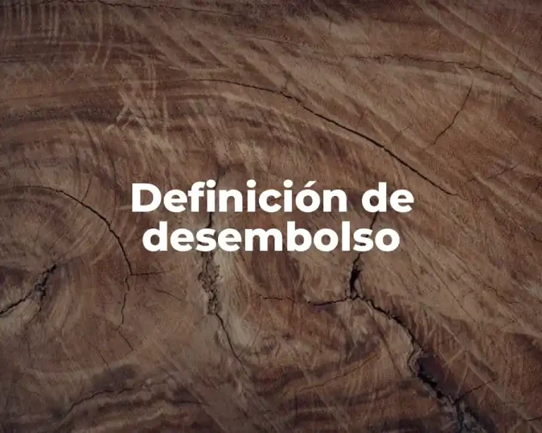 Definición de desembolso
