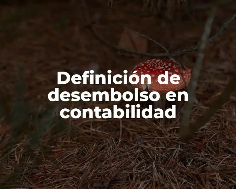 Definición de desembolso en contabilidad