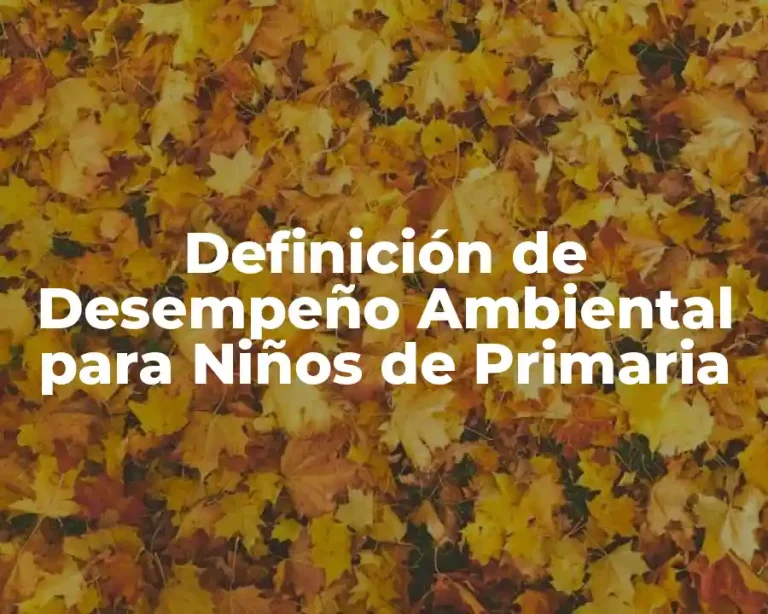 Definición de Desempeño Ambiental para Niños de Primaria