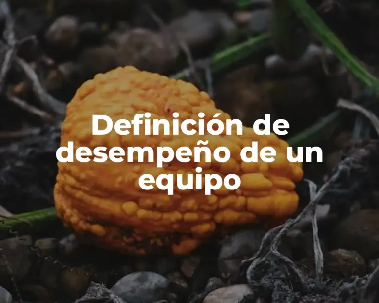 Definición de desempeño de un equipo