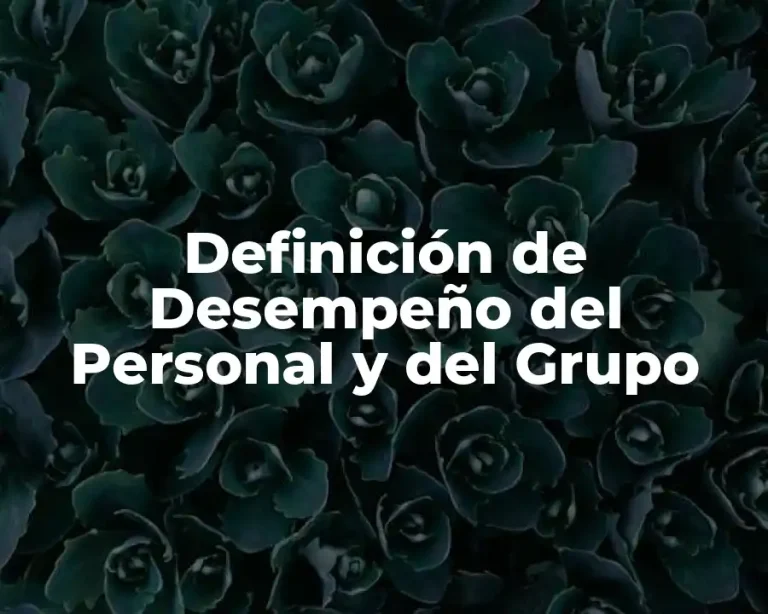 Definición de Desempeño del Personal y del Grupo