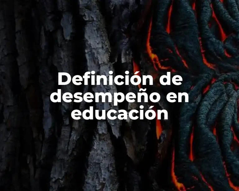 Definición de desempeño en educación