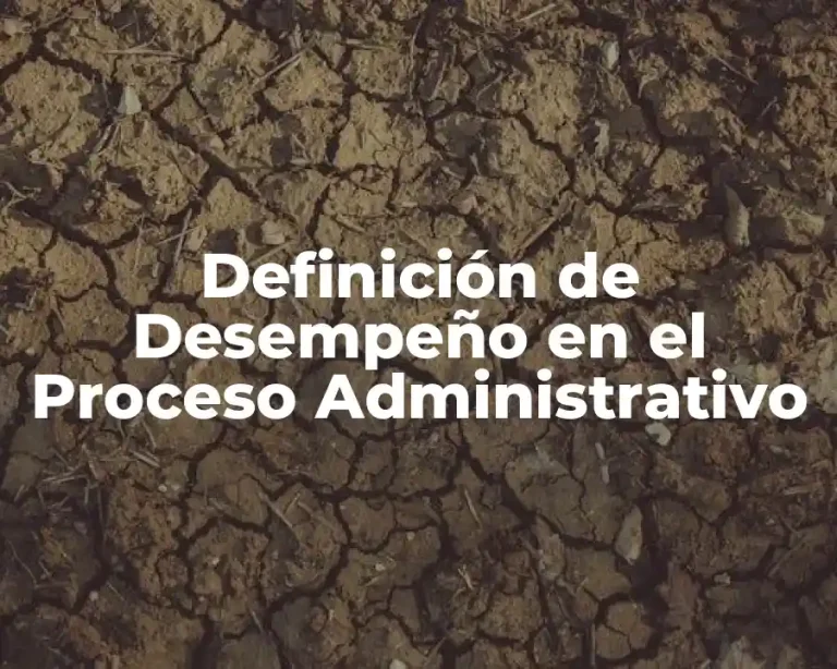 Definición de Desempeño en el Proceso Administrativo