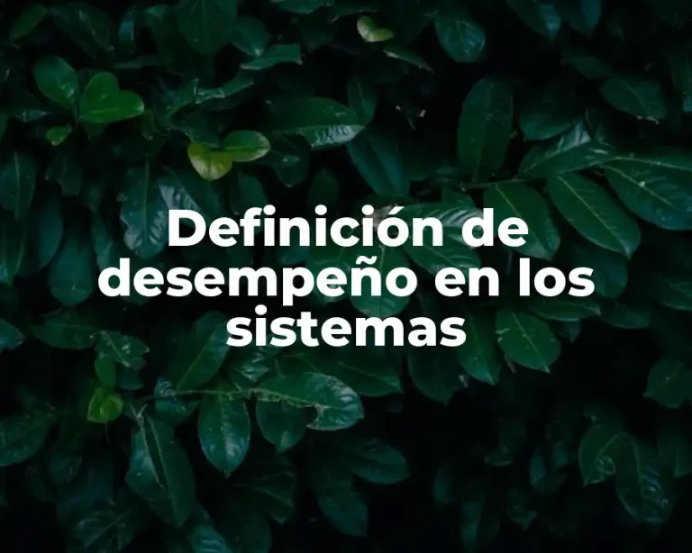 Definición de desempeño en los sistemas