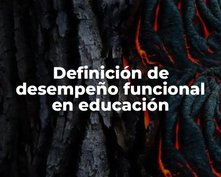 Definición de desempeño funcional en educación
